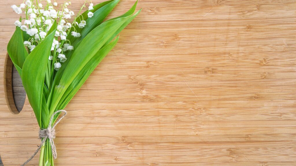 Conheça alguns tipos de plantas raras para cultivar em casa 
