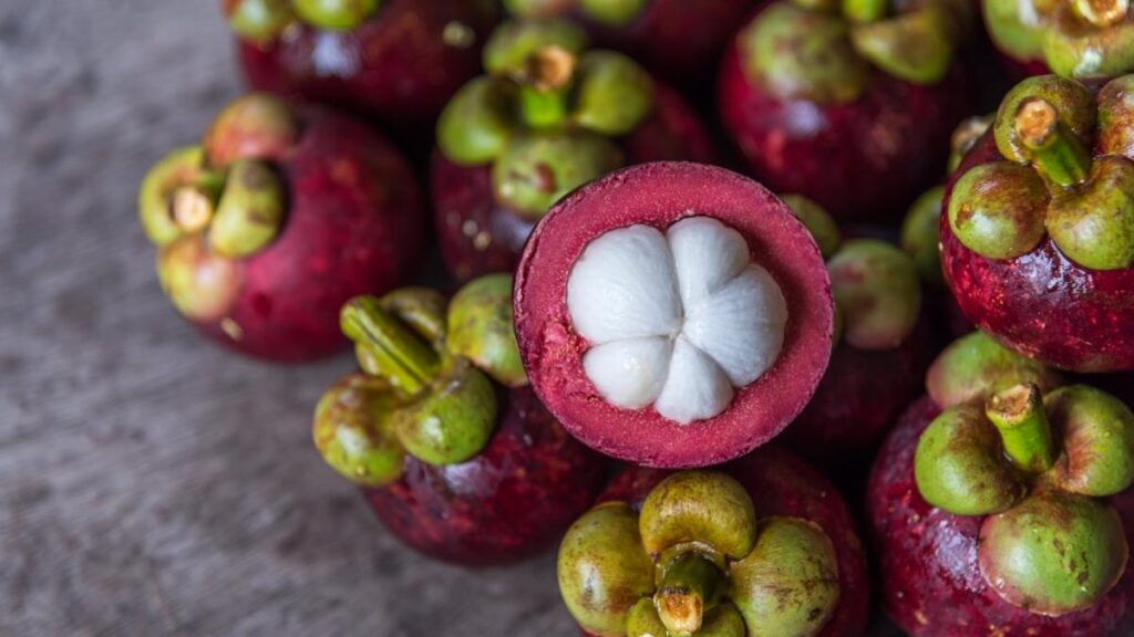 Mangostão