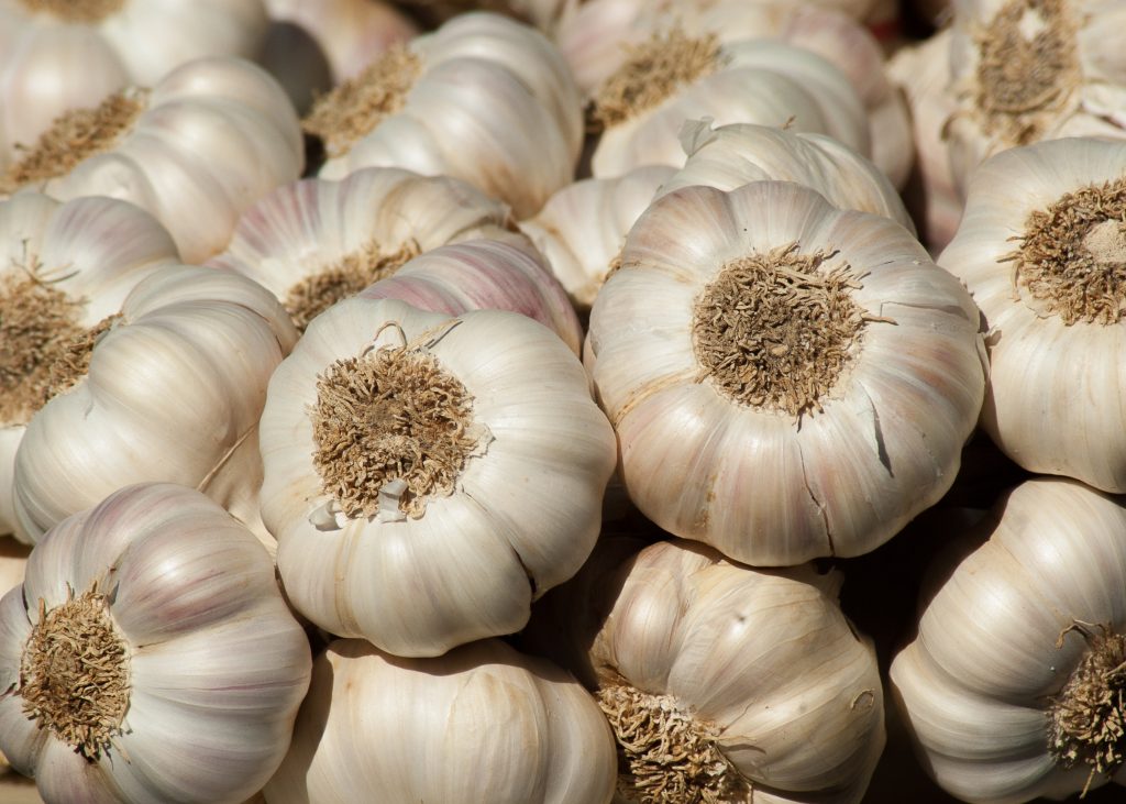 Os 4 alimentos mais ricos em nutrientes do planeta