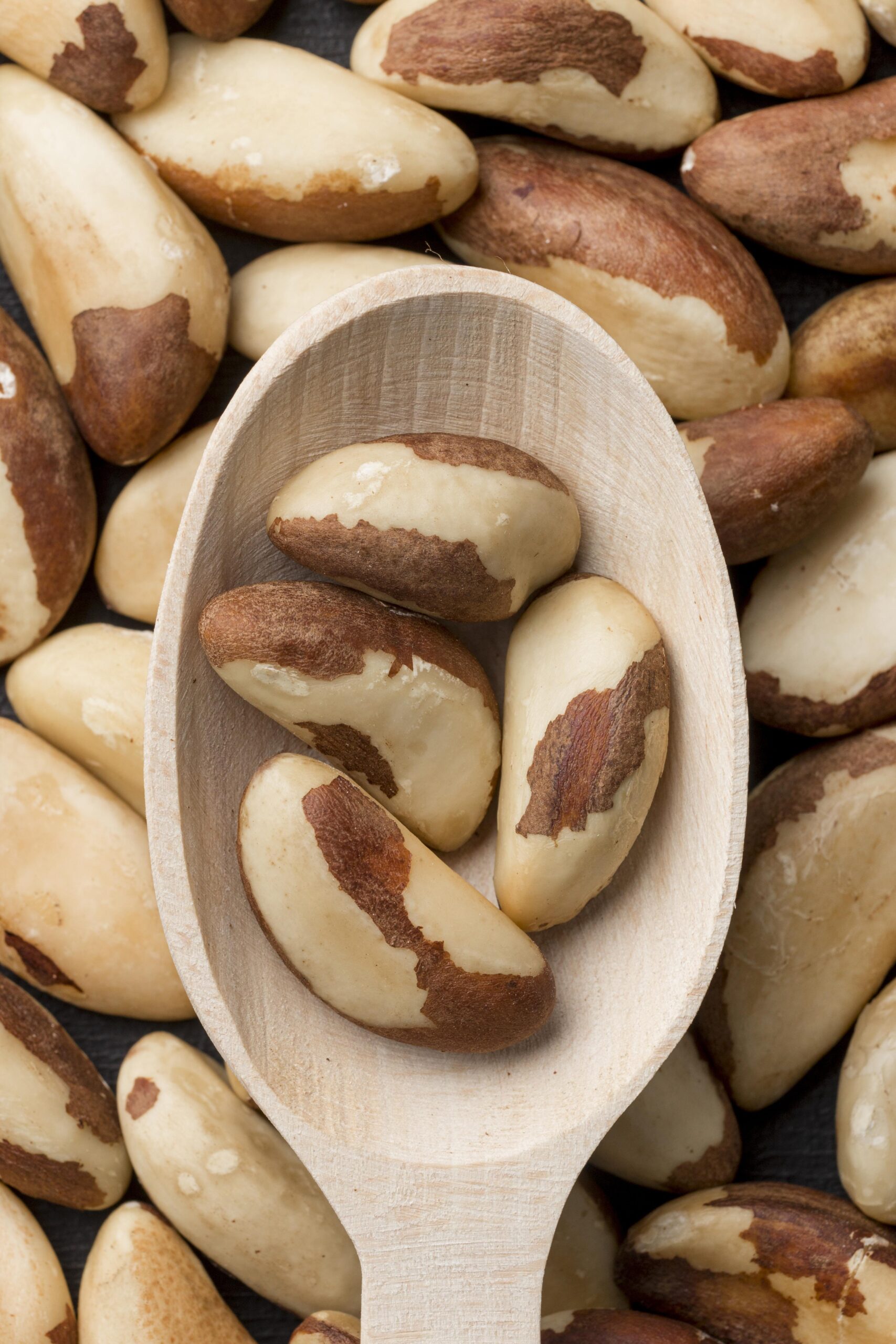 https://maisminas.com.br/colunas/nutricao-e-alimentacao/so-queria-um-milho-na-praia/