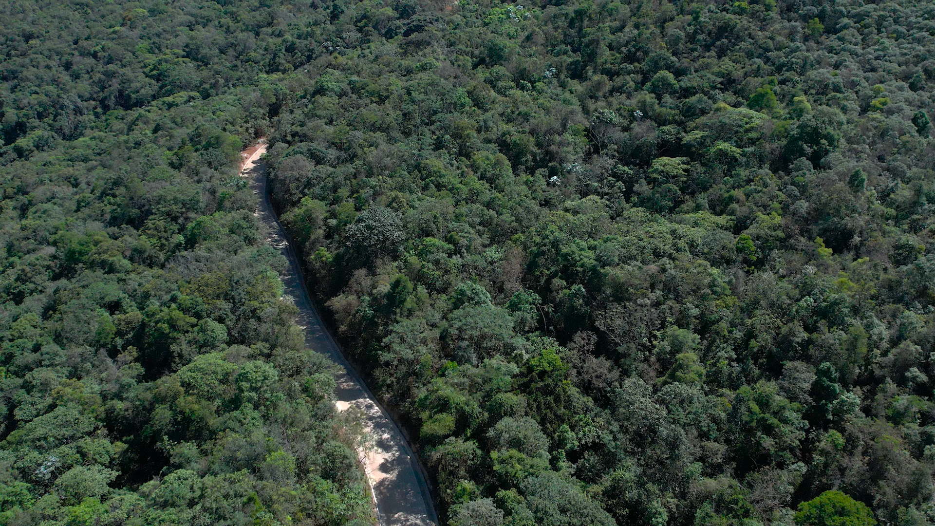 Samarco entrega Estrada da Purificação pavimentada