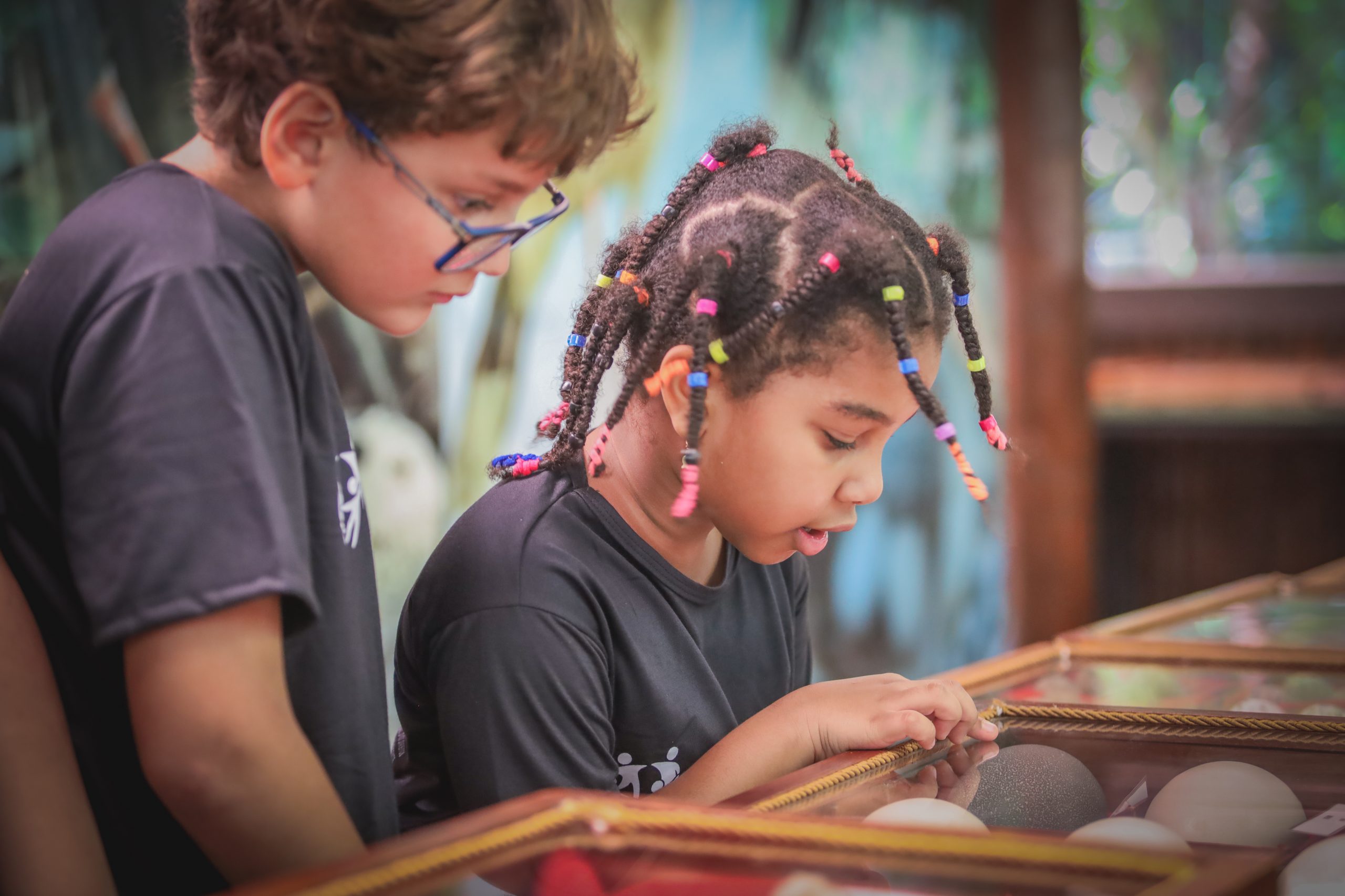 8º Prêmio Gerdau Germinar abre inscrições para projetos de educação ambiental para escolas em MG