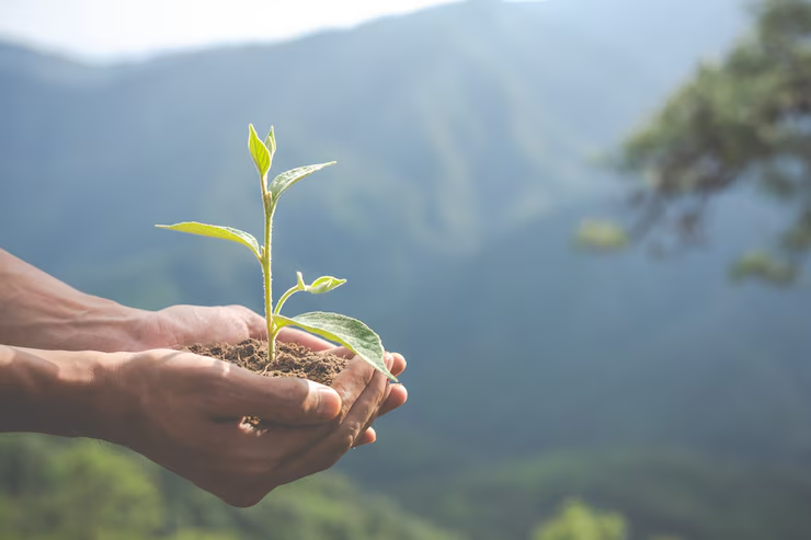 Itabirito institui a Semana do Meio Ambiente com foco na sustentabilidade e valorização dos catadores de recicláveis
