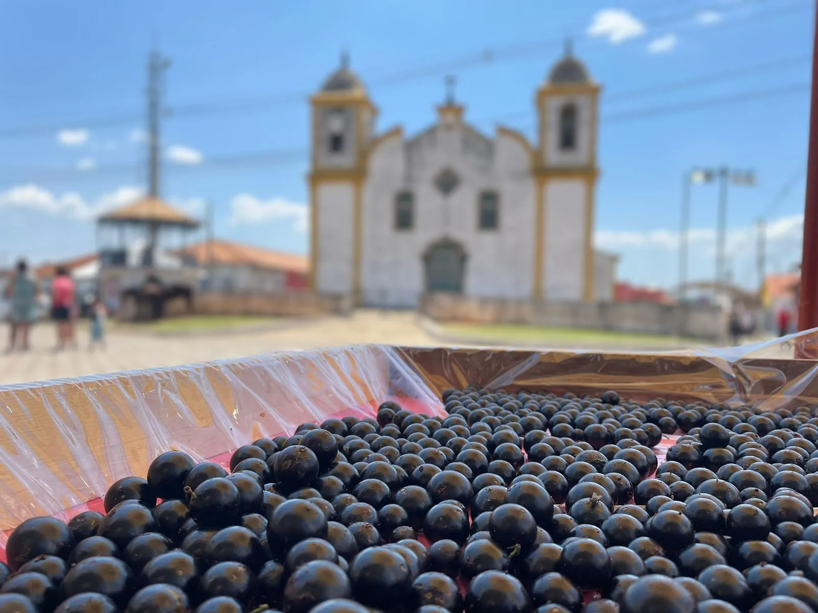 Rock, blues e jabuticaba: Cachoeira do Campo vive fim de semana de festa e tradição