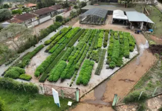 Viveiro da Samarco em Ouro Preto chega a 1 milhão de mudas produzidas para recuperação ambiental