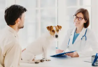 Mariana terá consultas veterinárias gratuitas para animais de famílias inscritas no CadÚnico