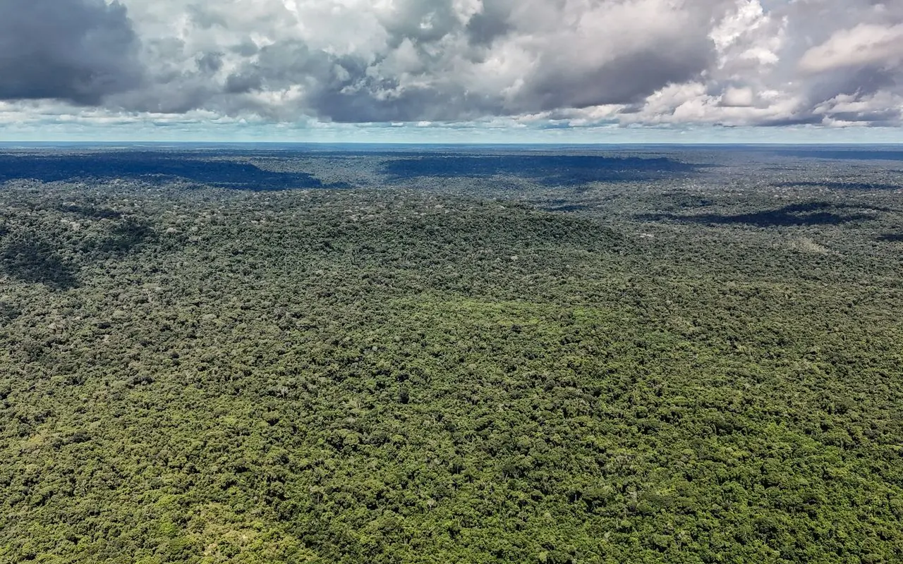 Devastação na Amazônia pode quebrar maior "máquina de chuva" do mundo