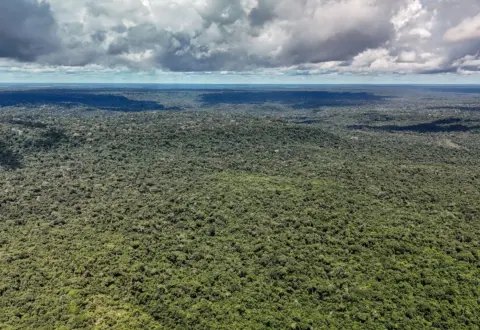 Devastação na Amazônia pode quebrar maior "máquina de chuva" do mundo
