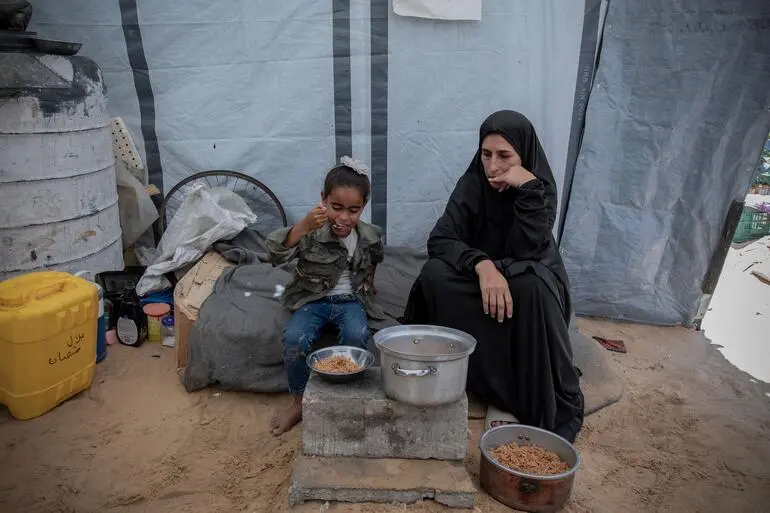 Após conflito em Gaza, mulheres são obrigadas a assumir sustento do lar