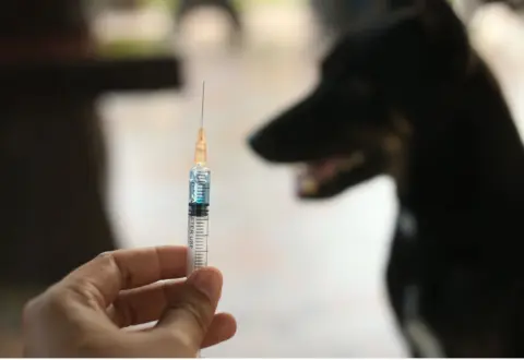 Mariana terá vacinação antirrábica gratuita para cães e gatos em mais de 30 pontos da cidade