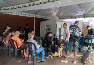 Mais de 80 cães e gatos passam por castração gratuita em Itabirito