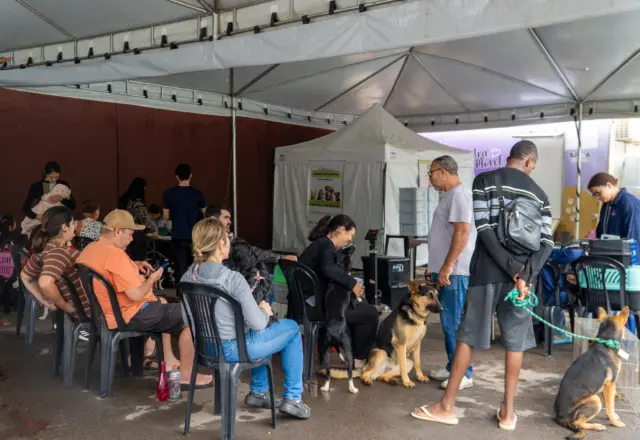 Mais de 80 cães e gatos passam por castração gratuita em Itabirito