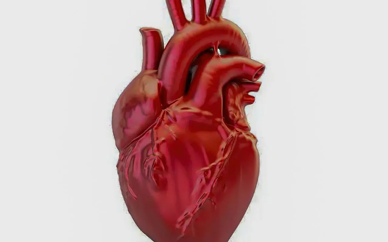 A cada 72 segundos, uma pessoa morre por doença cardiovascular no país