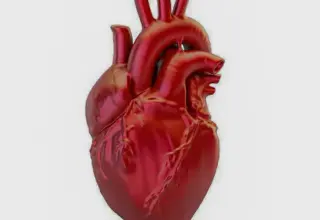 A cada 72 segundos, uma pessoa morre por doença cardiovascular no país