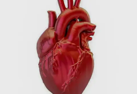 A cada 72 segundos, uma pessoa morre por doença cardiovascular no país
