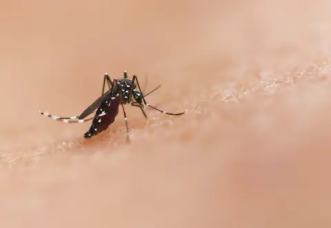 Mariana mobiliza agentes contra focos do Aedes aegypti em bairros e distritos até dezembro