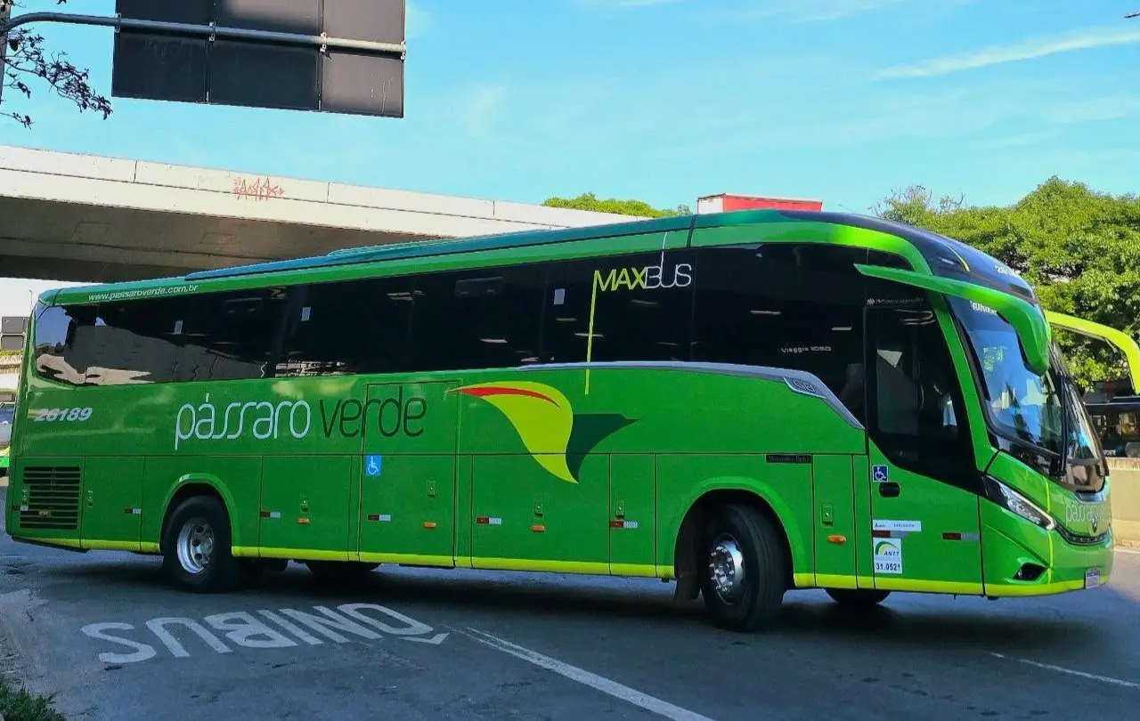 Pássaro Verde oferece viagens gratuitas no domingo de eleição em três trechos de Minas