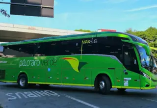 Pássaro Verde oferece viagens gratuitas no domingo de eleição em três trechos de Minas