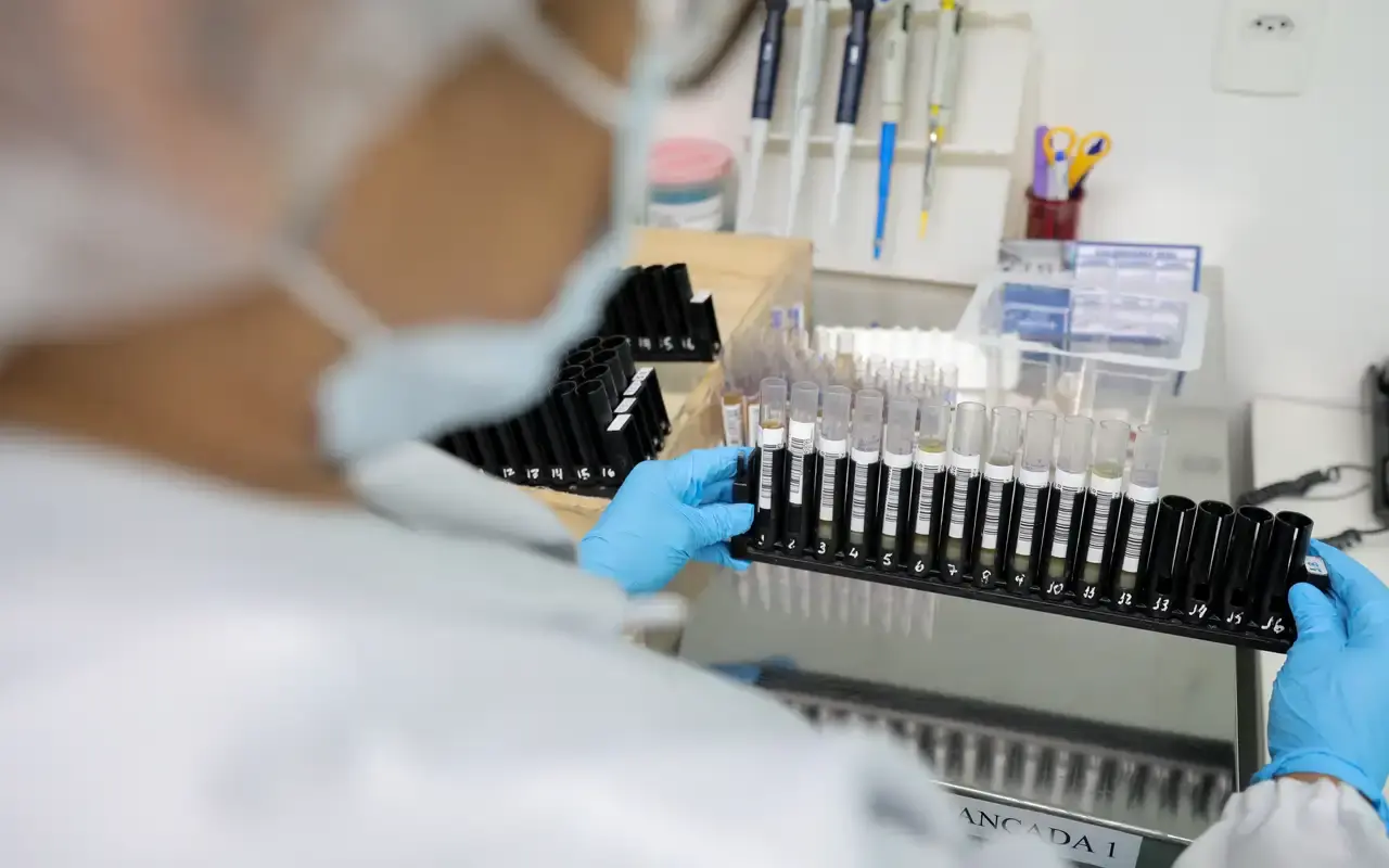 Malária: Anvisa autoriza teste em humanos de vacina 100% brasileira