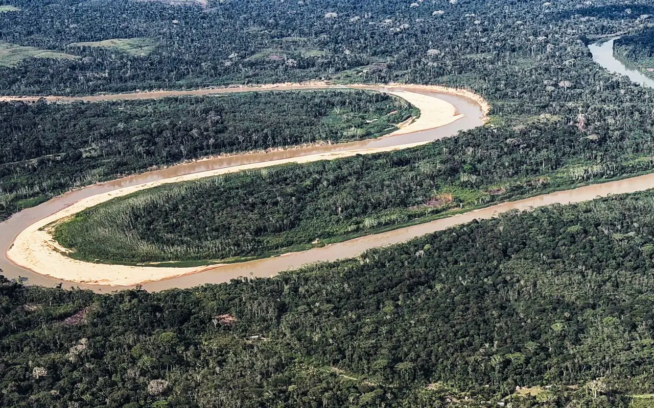 Países Baixos anunciam US0 mi em fundo florestal criado pelo Brasil