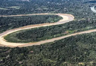 Países Baixos anunciam US$500 mi em fundo florestal criado pelo Brasil