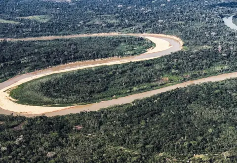 Países Baixos anunciam US$500 mi em fundo florestal criado pelo Brasil